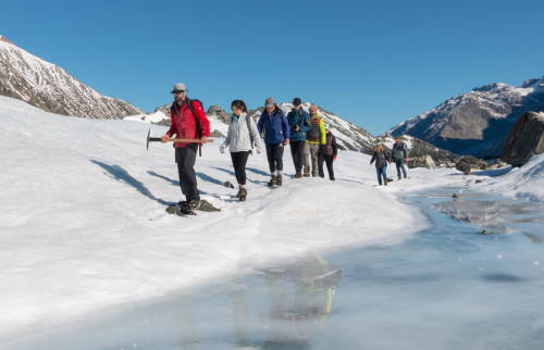 Walking and Hiking activities to See and Do in New Zealand